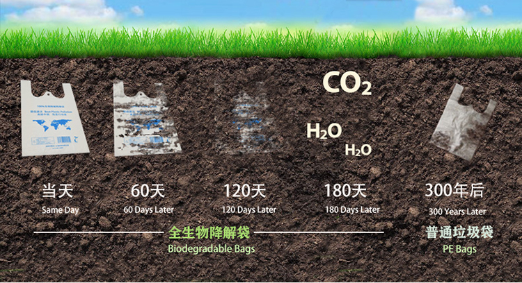 垃圾袋以掩埋方式处理需要多久降解?